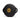 Elite Round Punch Shield